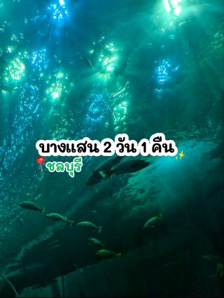 2 วัน 1 คืน บางแสน trip moment 