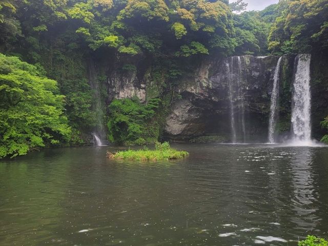 Relaxing Jeju trip with family