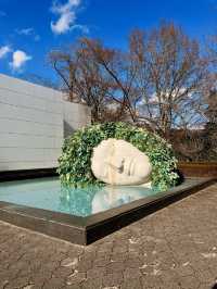 🏛️【神奈川・箱根 彫刻の森美術館】自然と芸術が出会う、遊び心満載のアート散歩 