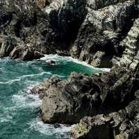 Manchester Day Trip: Anglesey - An Island Adventure! 🌊🦅