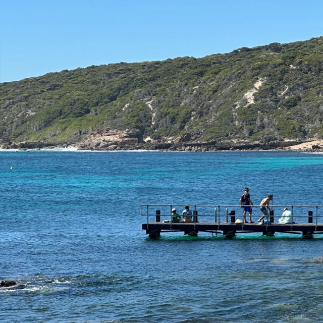 Western Australia Road Trip: Canal Rocks! 🌊🇦🇺