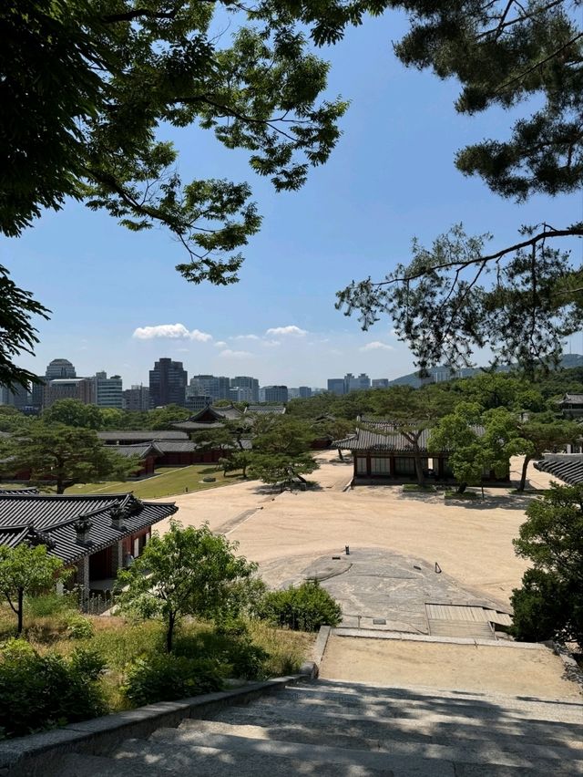 시간의 겹, 창경궁에서 바라본 서울