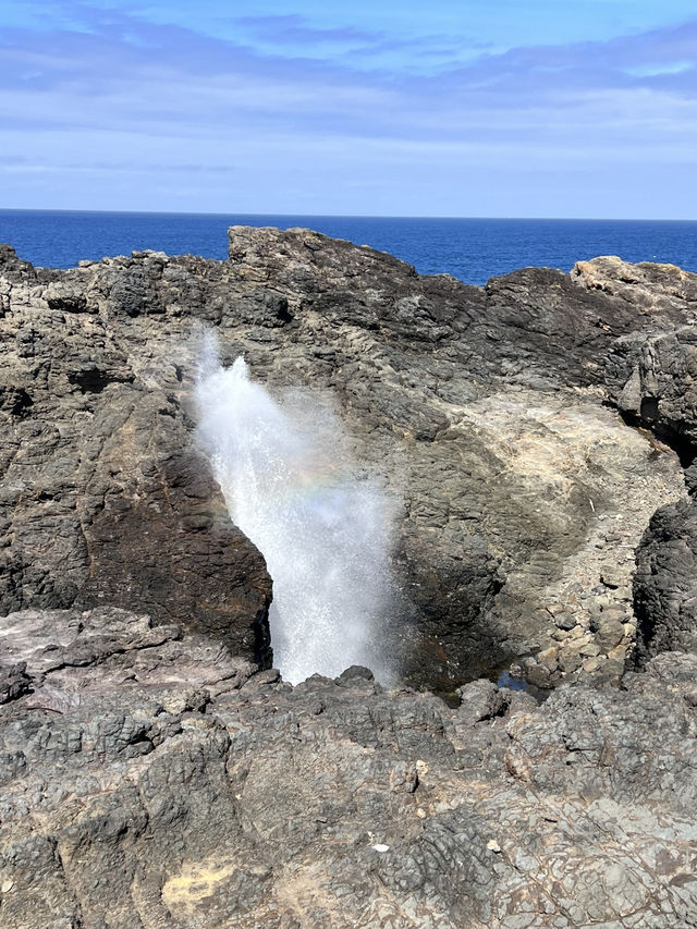 📍 Kiama 一日遊攻略｜從悉尼出發的海岸風景線