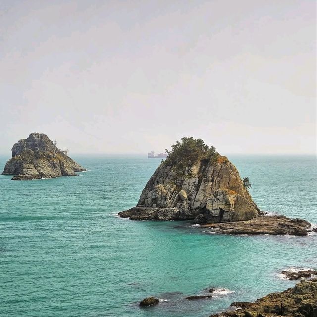 Cliff Walks, Ocean Breeze, and Zero Regrets