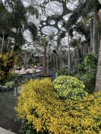 Shanghai Expo Culture Park – A Living Legacy of Nature and Design