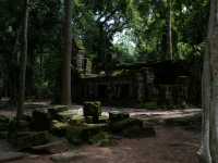 Tomb Raider Temple
