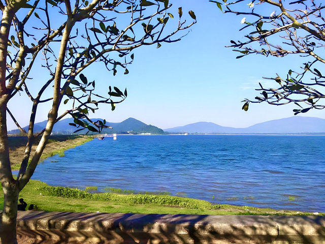 自然の中で深呼吸☀️🕊️ #バーンプラ #自然に癒される #タイの隠れスポット