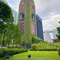 My Stay at Oasia Hotel Downtown: Singapore's Green Oasis! 🌿🏨✨
