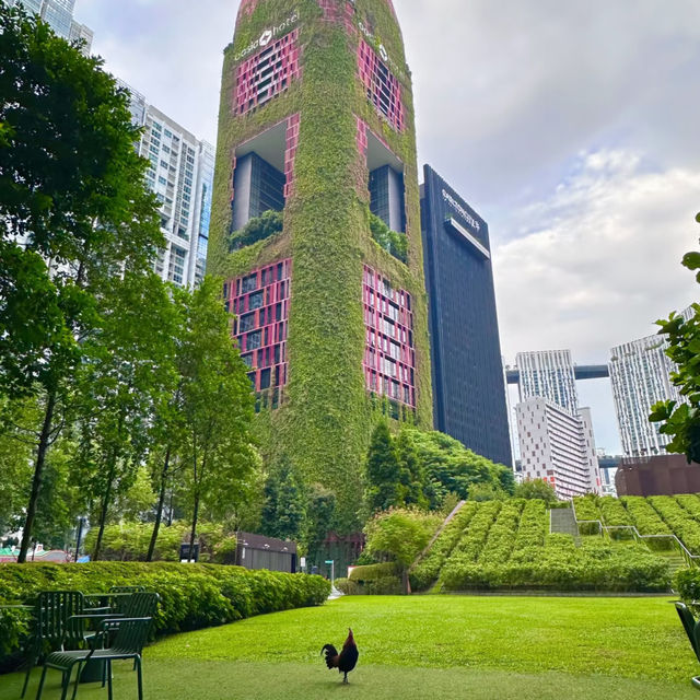 My Stay at Oasia Hotel Downtown: Singapore's Green Oasis! 🌿🏨✨
