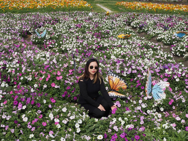 🌼 Huayu Ranch (花语牧场), Dali – A Flower Wonderland 