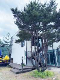가평 숙박 추천 드리는 장소!