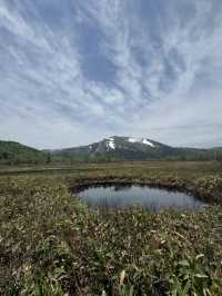 【尾瀬国立公園】湿原と高山植物に癒される、静寂のハイキング旅