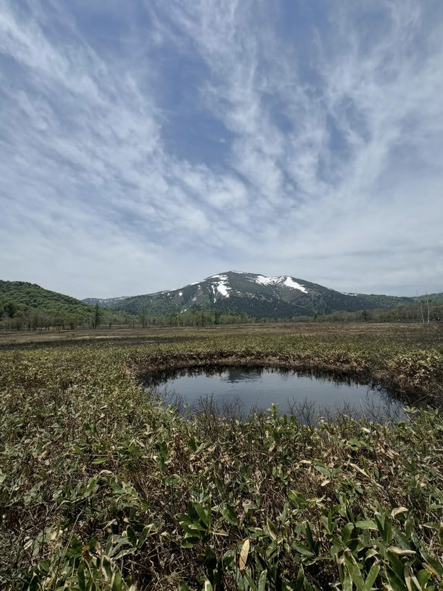 【尾瀬国立公園】湿原と高山植物に癒される、静寂のハイキング旅