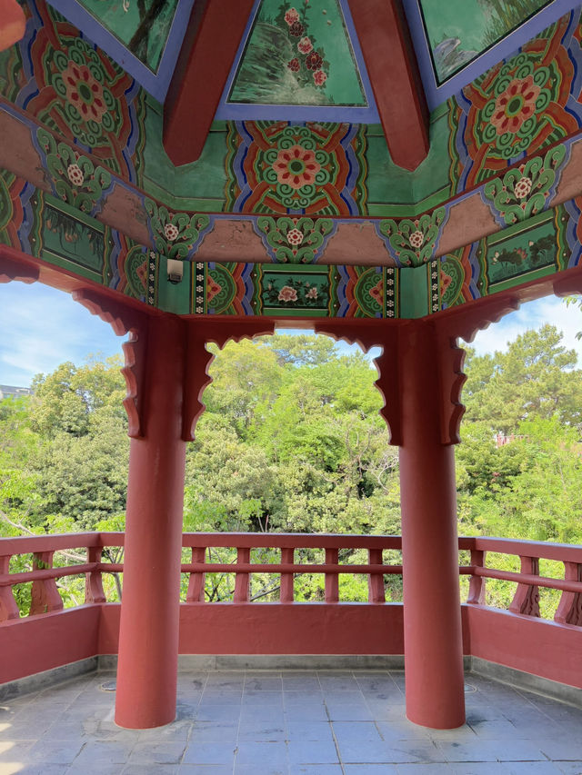🌿 제주 공항 근처 이런 계곡 보셨나요