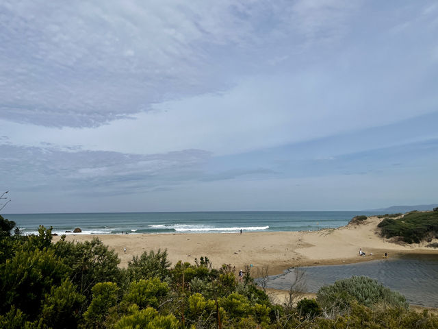 Apollo Bay: A Perfect Summer Getaway on the Great Ocean Road