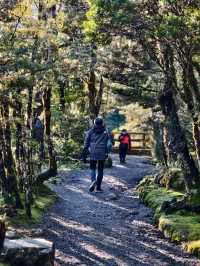 Devil’s Punchbowl Falls: A Thrilling Symphony of Nature in Arthur’s Pass