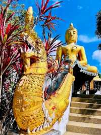 วัดนาคูหา ธรรมชาติที่สวยงามและเป็นแหล่งโอโซน