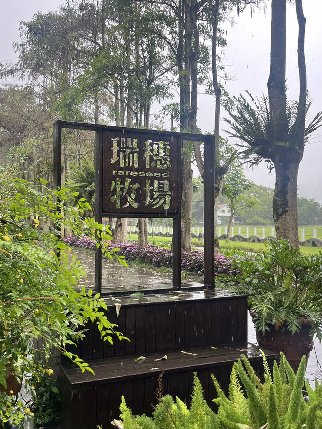 台东自驾景點推薦｜瑞穗牧場也有北海道感？】暴雨中拜訪瑞穗牧場，竟意外療癒