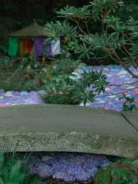 【福岡】圧巻の紫陽花を見たいならここ！