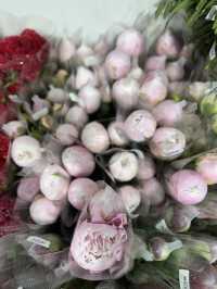 Hidden gem for flower lovers