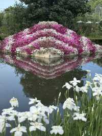 花に癒される！季節の花畑͛💠有名な観光地は？