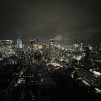 🗼 Tokyo Tower – Classic Icon with Timeless Views