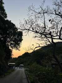 不愧為香港十大漂亮，景色之一@港版千島湖