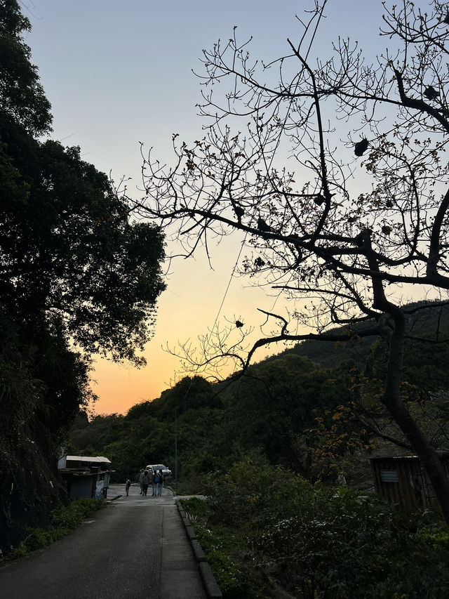 不愧為香港十大漂亮，景色之一@港版千島湖
