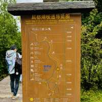 Find tranquility trekking through nature’s beauty