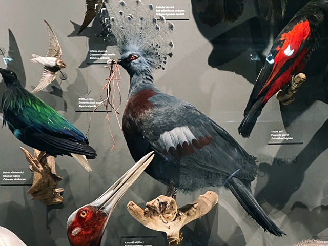 National Museum in Prague: A Natural History Marvel I Can't Get Enough Of! 🇨🇿🏛️