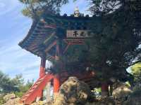 Temples, History, and Good Vibes