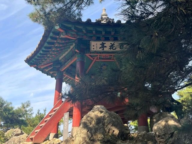 Temples, History, and Good Vibes