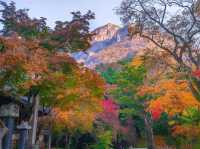 Korea’s Autumn Season