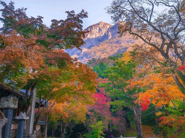 Korea’s Autumn Season