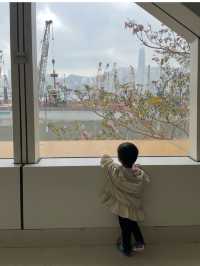 [서구룡 문화지구] 홍콩 도심속 공원과 미술관 나들이