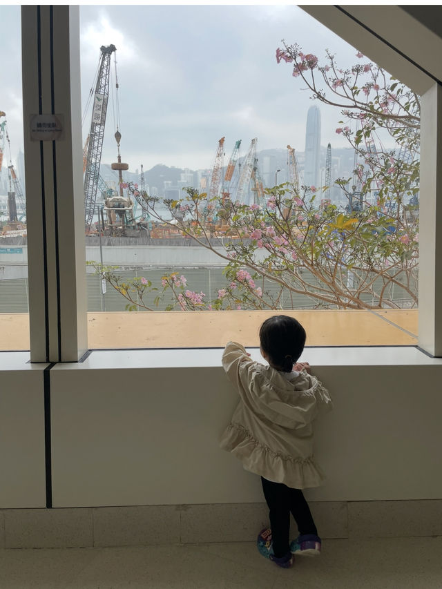 [서구룡 문화지구] 홍콩 도심속 공원과 미술관 나들이