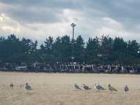 Gangneung: Jumunjin & Gyeongpo Beach — A Healing Coastal Journey! 🏖️☕
