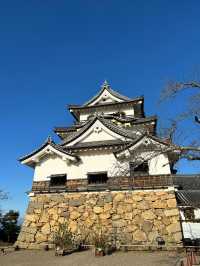日本現存12天守-彥根城