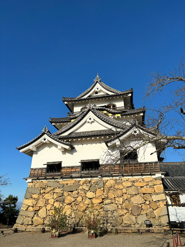 日本現存12天守-彥根城
