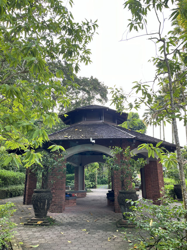Fort Canning Park สิงคโปร์ 🌿 เดินเล่นชิลๆ ถ่ายรูป