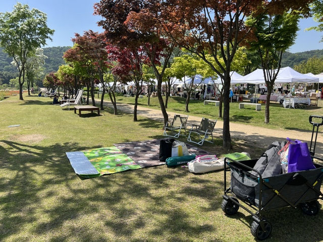 🌸 울산 태화강국가정원, 꽃길 따라 자전거 타는 하루