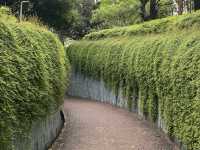 A Leafy Escape in the City – My Visit to Fort Canning Park, Singapore