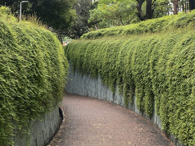 A Leafy Escape in the City – My Visit to Fort Canning Park, Singapore