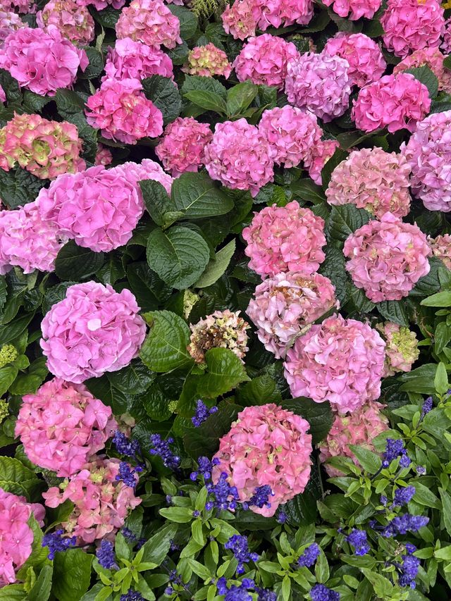 Spring at Prince Bay Park 