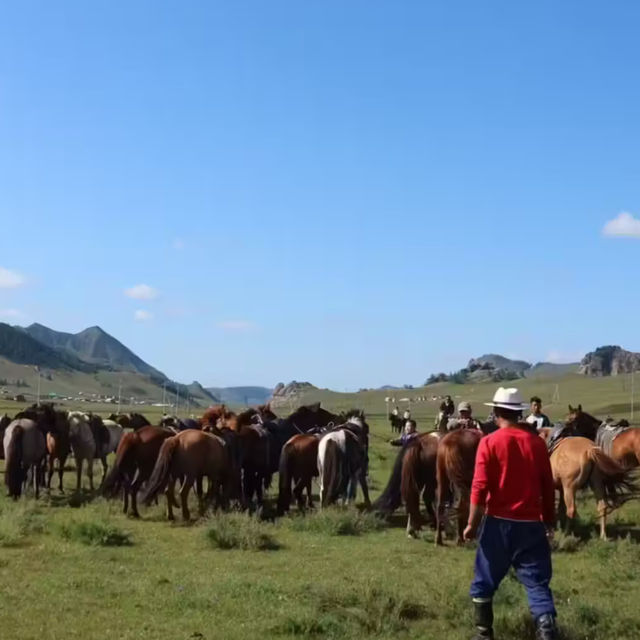 몽골 테를지 국립공원 승마체험 🐎