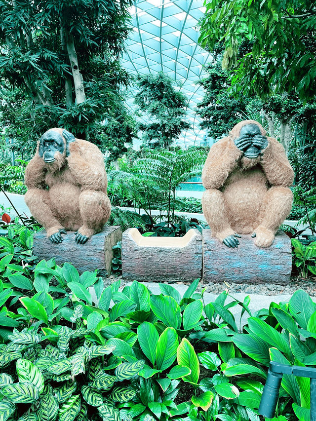 Discover the Enchanting Topiary Walk at Canopy Park, Jewel Changi 🌿✨