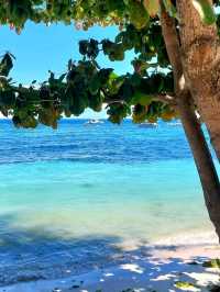 Sun and Serenity at Alona Beach