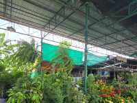 ตลาดต้นไม้สันติสุข สามโคก ปทุมธานี
