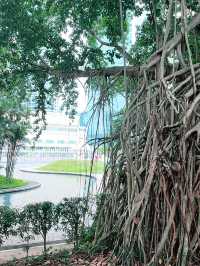 KLCC Park is a Must-Visit This Summer