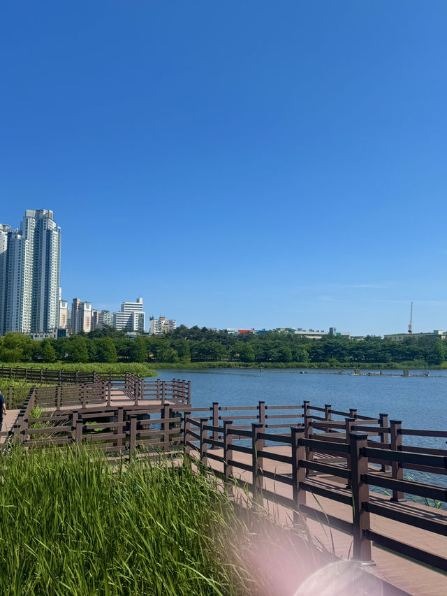 🌸 수원 만석공원 나들이, 도심 속 자연 휴식! 